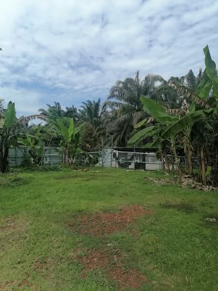 Agricultural Land for Sale in Linggi (Negeri Sembilan) - Lu Wai Cheah - PropertyGuru.com.my