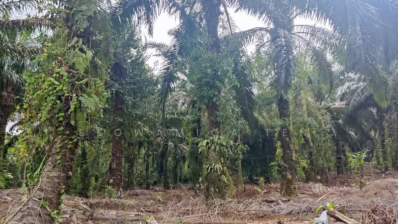 Other Property for Sale in Senai (Johor) - Seowamiga Ten - Exterior - PropertyGuru.com.my
