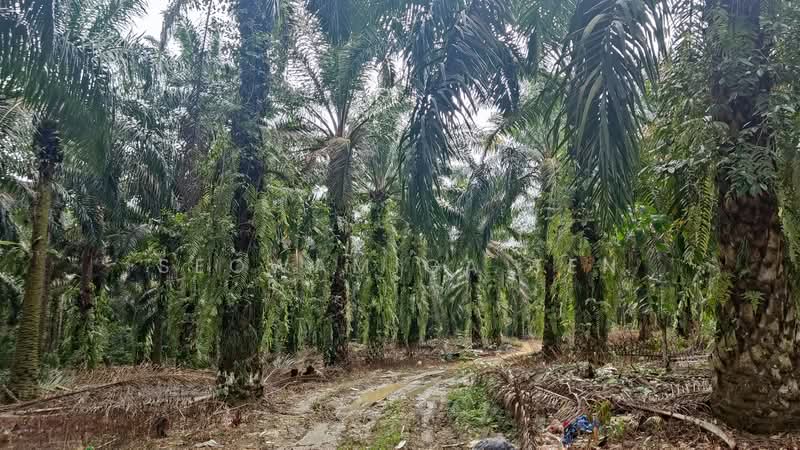 Other Property for Sale in Senai (Johor) - Seowamiga Ten - Exterior - PropertyGuru.com.my