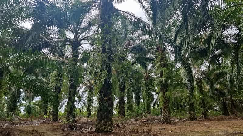 Other Property for Sale in Senai (Johor) - Seowamiga Ten - Exterior - PropertyGuru.com.my