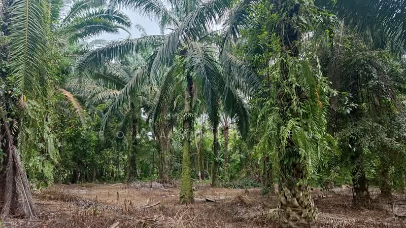 Other Property for Sale in Senai (Johor) - Seowamiga Ten - PropertyGuru.com.my