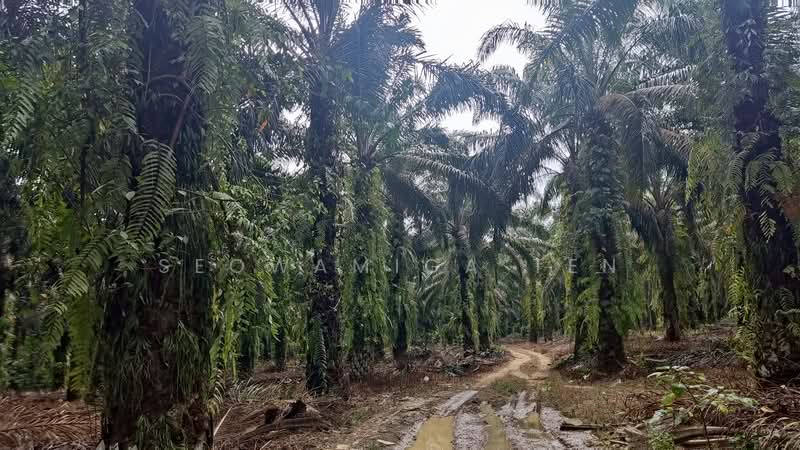 Other Property for Sale in Senai (Johor) - Seowamiga Ten - Exterior - PropertyGuru.com.my