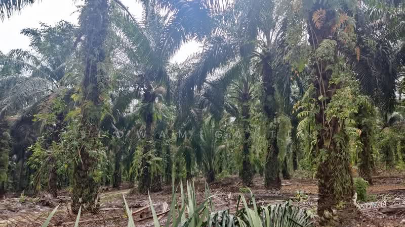 Other Property for Sale in Senai (Johor) - Seowamiga Ten - Exterior - PropertyGuru.com.my