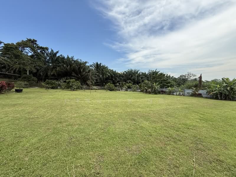 Agricultural Land for Sale in Pekan Nanas (Johor) - Derrick Ng - Garden - PropertyGuru.com.my
