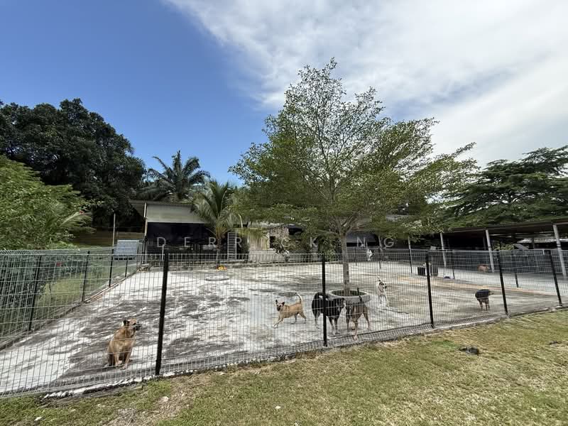 Agricultural Land for Sale in Pekan Nanas (Johor) - Derrick Ng - Exterior - PropertyGuru.com.my