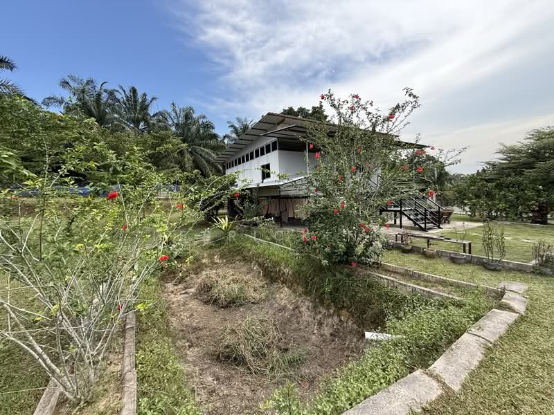 Agricultural Land for Sale in Pekan Nanas (Johor) - Derrick Ng - Exterior - PropertyGuru.com.my