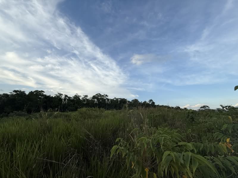 Tanah Pertanian untuk Dijual di Felda Tenang (Labis) - M Jamil Ali - PropertyGuru.com.my