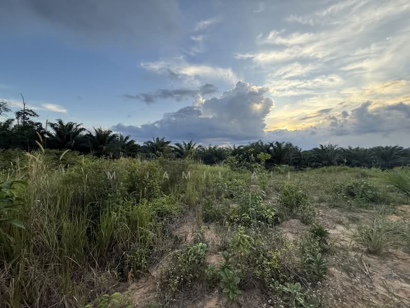 Tanah Pertanian untuk Dijual di Felda Tenang (Labis) - M Jamil Ali - PropertyGuru.com.my