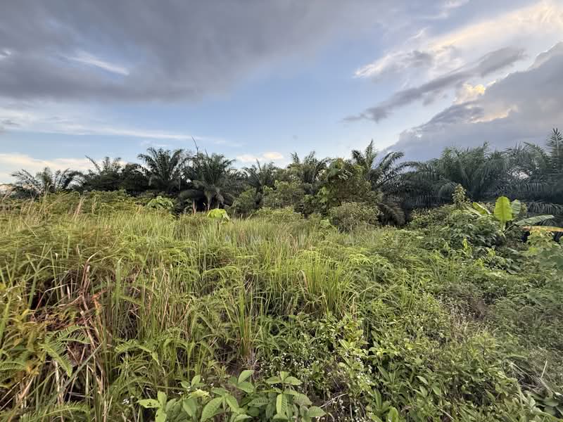 Tanah Pertanian untuk Dijual di Felda Tenang (Labis) - M Jamil Ali - PropertyGuru.com.my
