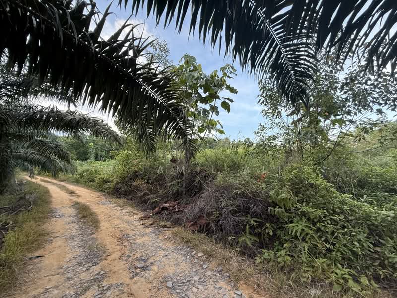 Tanah Pertanian untuk Dijual di Felda Tenang (Labis) - M Jamil Ali - PropertyGuru.com.my