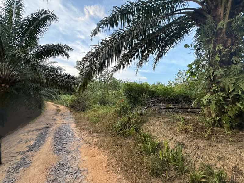 Tanah Pertanian untuk Dijual di Felda Tenang (Labis) - M Jamil Ali - PropertyGuru.com.my