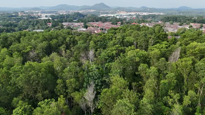 Tanah Pertanian untuk Dijual di Pulau Sebang (Melaka) - Wesley Tan - Exterior - PropertyGuru.com.my