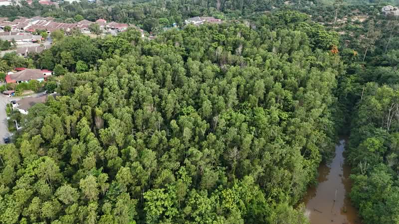 Tanah Pertanian untuk Dijual di Pulau Sebang (Melaka) - Wesley Tan - Exterior - PropertyGuru.com.my