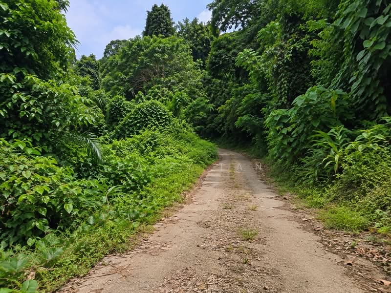 Agricultural Land for Sale in Bentong (Pahang) - Daizy Tan - PropertyGuru.com.my