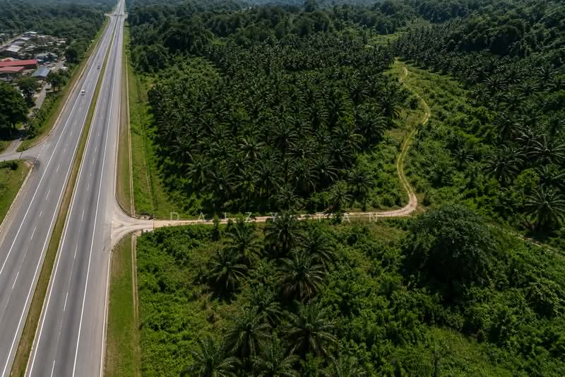 Agricultural Land for Sale in Bentong (Pahang) - Daizy Tan - PropertyGuru.com.my