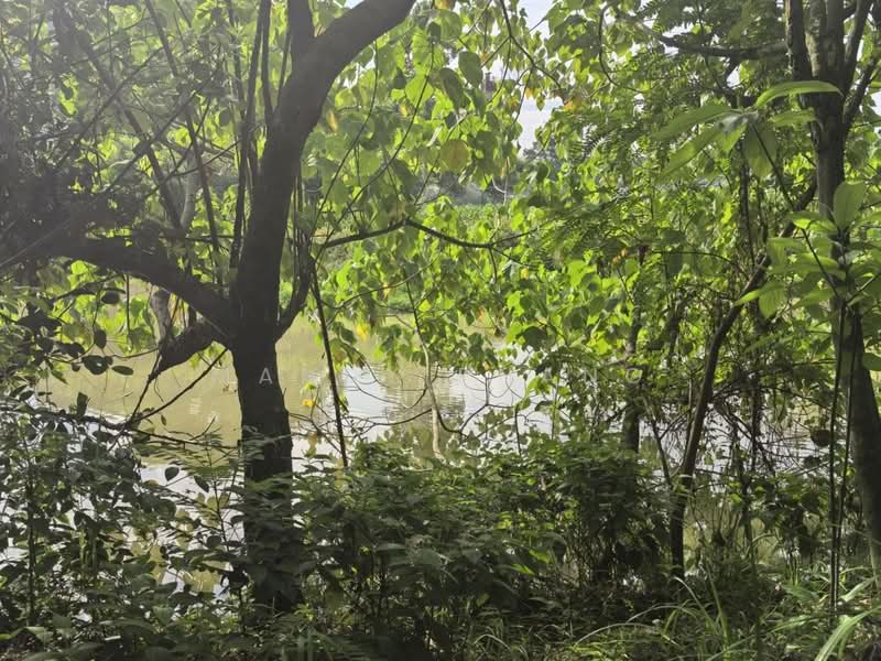 Agricultural Land for Sale in Bercham (Ipoh) - Mandy Phang - Exterior - PropertyGuru.com.my