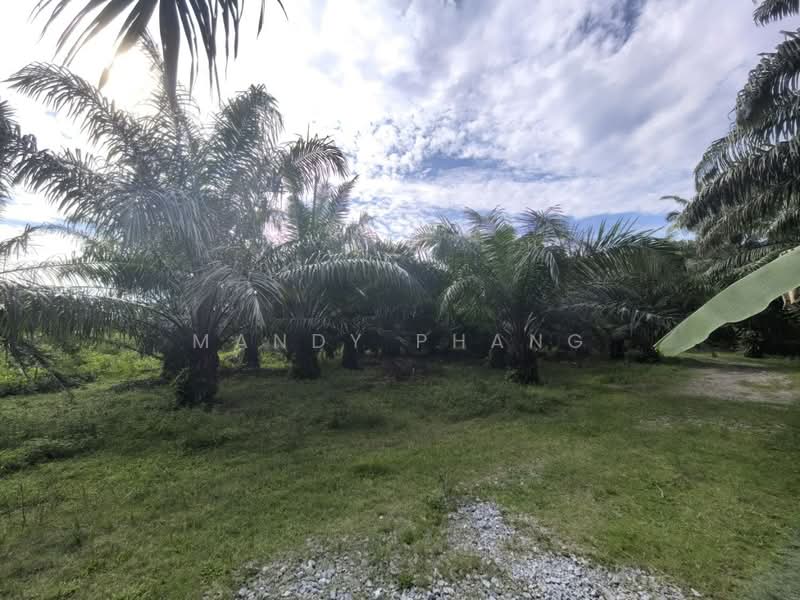 Agricultural Land for Sale in Bercham (Ipoh) - Mandy Phang - Garden - PropertyGuru.com.my