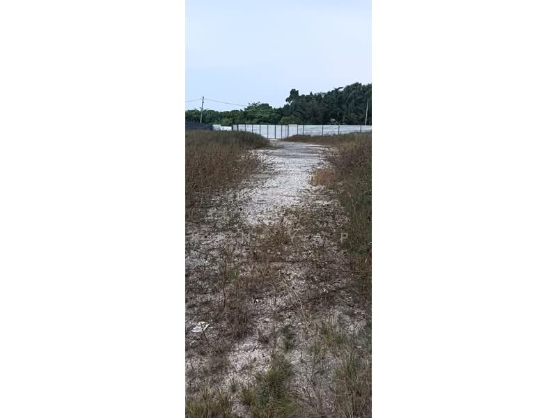 Agricultural Land for Rent in Telok Panglima Garang (Selangor) - Ken Yap - PropertyGuru.com.my
