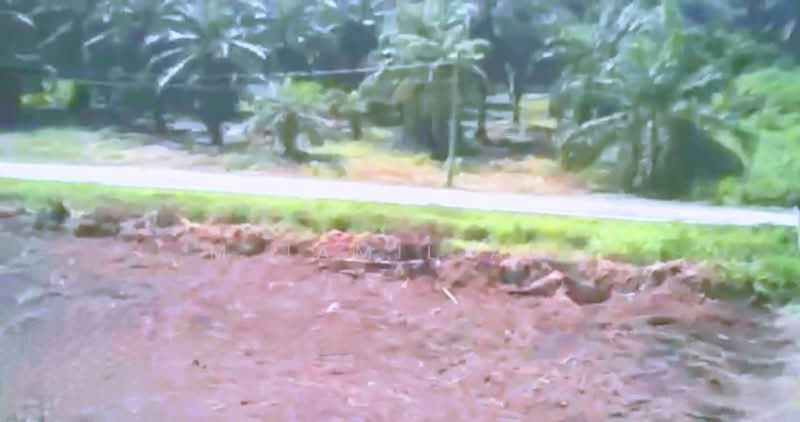 Tanah Kediaman untuk Dijual di Parit Raja (Sri Gading) - M Jamil Ali - PropertyGuru.com.my