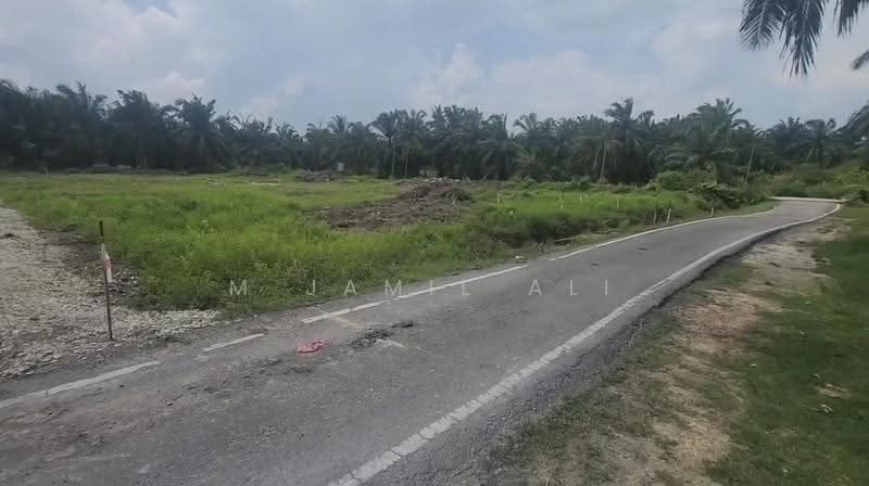 Residential Land for Sale in Parit Raja (Sri Gading) - M Jamil Ali - PropertyGuru.com.my