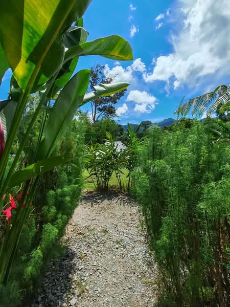 Commercial Bungalow for Sale in Janda Baik (Bentong) - Farah Kamal - PropertyGuru.com.my