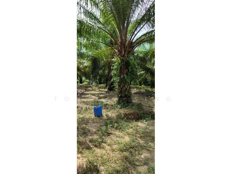 Tanah Pertanian untuk Dijual di Kuala Pilah (Negeri Sembilan) - Toh Kai Seng - PropertyGuru.com.my