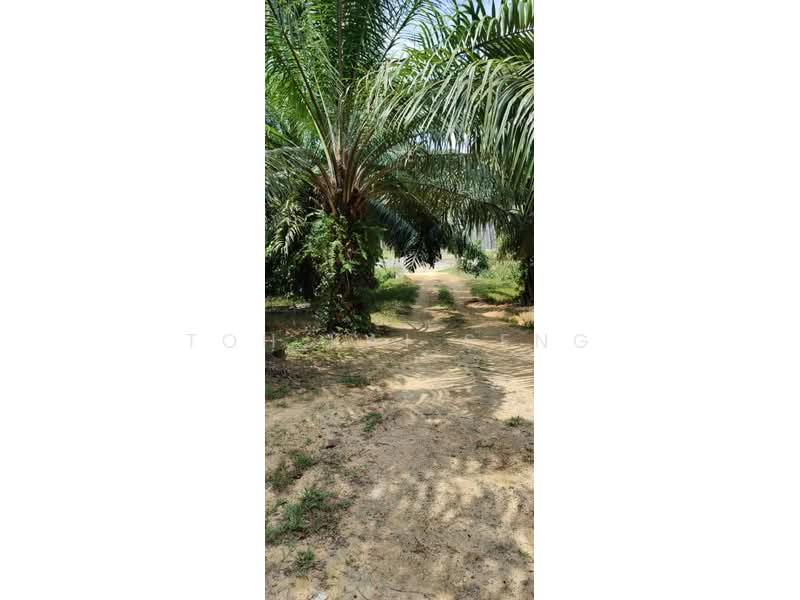 Tanah Pertanian untuk Dijual di Kuala Pilah (Negeri Sembilan) - Toh Kai Seng - PropertyGuru.com.my