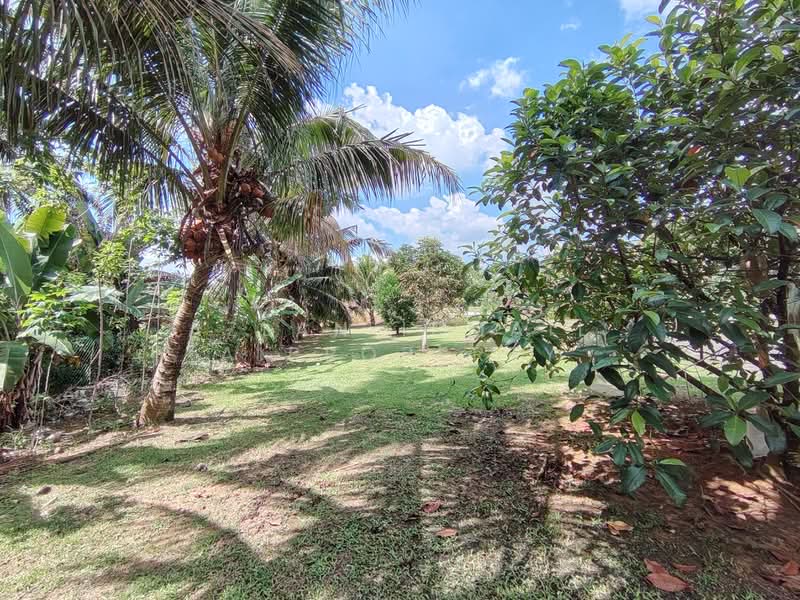 Tanah Pertanian untuk Dijual di Kulai (Johor) - Azlan Ismail aiproperty - Garden - PropertyGuru.com.my