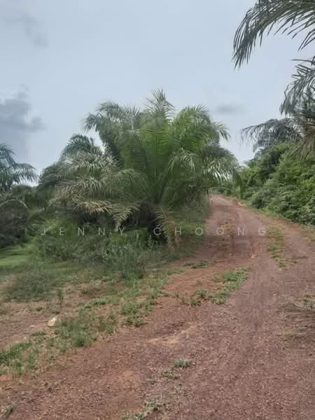 Agricultural Land for Sale in Temerloh (Pahang) - Jenny Choong - Exterior - PropertyGuru.com.my