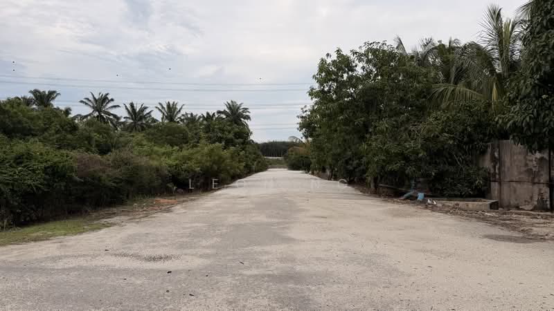 Factory for Rent in Padang Meha (Kedah) - Leon Ng - Exterior - PropertyGuru.com.my
