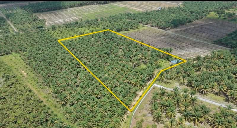 Tanah Pertanian untuk Dijual di Machap (Kluang) - Lau Ee Xuan - PropertyGuru.com.my