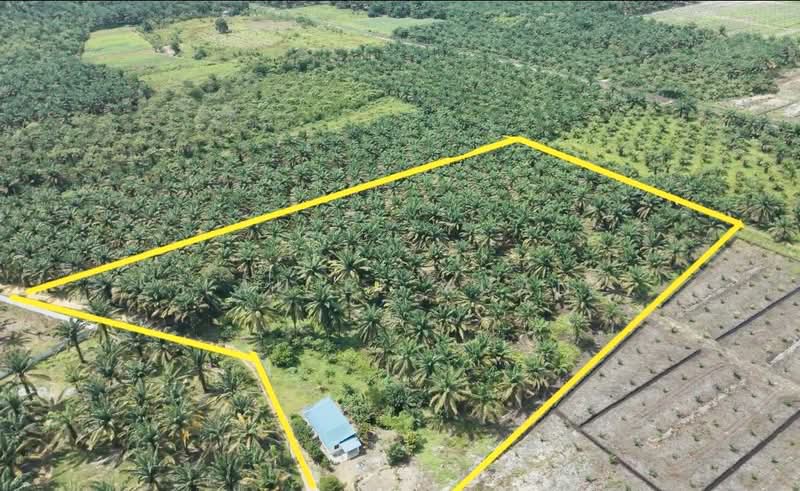 Tanah Pertanian untuk Dijual di Machap (Kluang) - Lau Ee Xuan - PropertyGuru.com.my