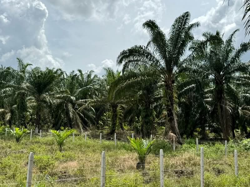 Tanah Pertanian untuk Dijual di Machap (Kluang) - Lau Ee Xuan - PropertyGuru.com.my