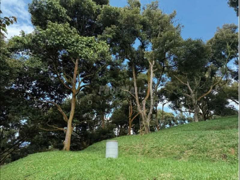 Tanah Pertanian untuk Dijual di Bandar Tras (Raub) - Effendy Shohaili - Exterior - PropertyGuru.com.my