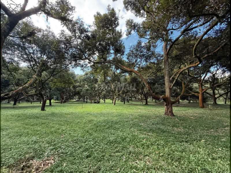 Tanah Pertanian untuk Dijual di Bandar Tras (Raub) - Effendy Shohaili - Garden - PropertyGuru.com.my