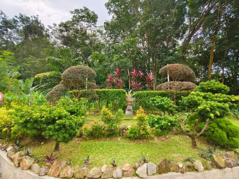 Condominium for Rent at Parkview Towers - Gyson Goh - Garden - PropertyGuru.com.my