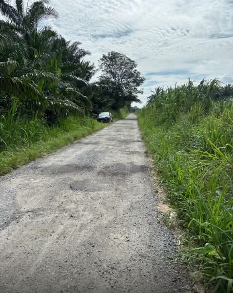 Industrial Land for Sale in Pekan Nenas (Jeram Batu) - Guang Jun Loh - PropertyGuru.com.my