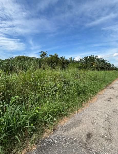 Industrial Land for Sale in Pekan Nenas (Jeram Batu) - Guang Jun Loh - PropertyGuru.com.my