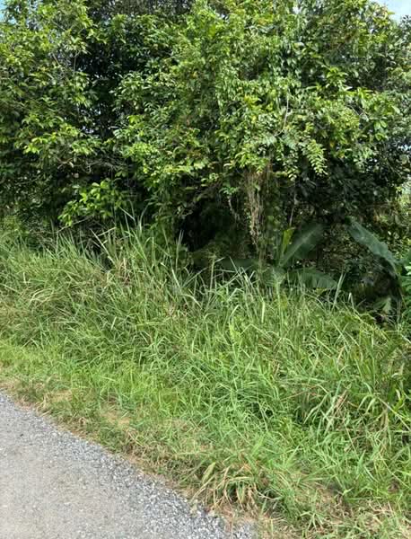 Factory for Sale in Kawasan Perindustrian Tebrau 2 (Tebrau) - Guang Jun Loh - PropertyGuru.com.my