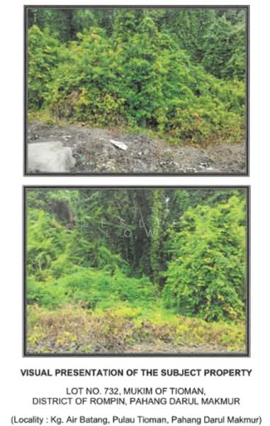 Tanah Kediaman untuk Dijual di Kampung Air Batang (Pulau Tioman) - Leslie Low - PropertyGuru.com.my