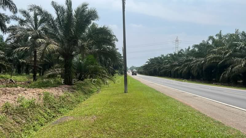 Tanah Pertanian untuk Dijual di Batu Pahat (Johor) - Yee Choi Hong - PropertyGuru.com.my