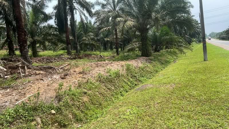 Tanah Pertanian untuk Dijual di Batu Pahat (Johor) - Yee Choi Hong - Exterior - PropertyGuru.com.my