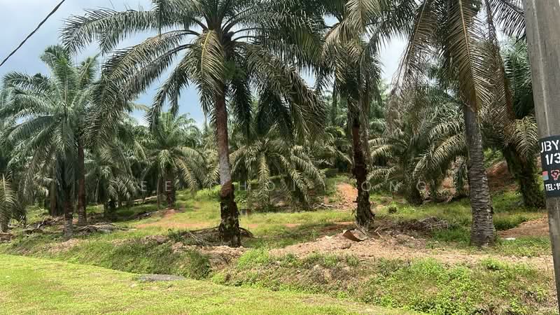Tanah Pertanian untuk Dijual di Batu Pahat (Johor) - Yee Choi Hong - Exterior - PropertyGuru.com.my