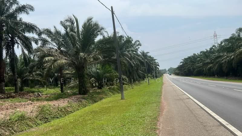 Tanah Pertanian untuk Dijual di Batu Pahat (Johor) - Yee Choi Hong - PropertyGuru.com.my