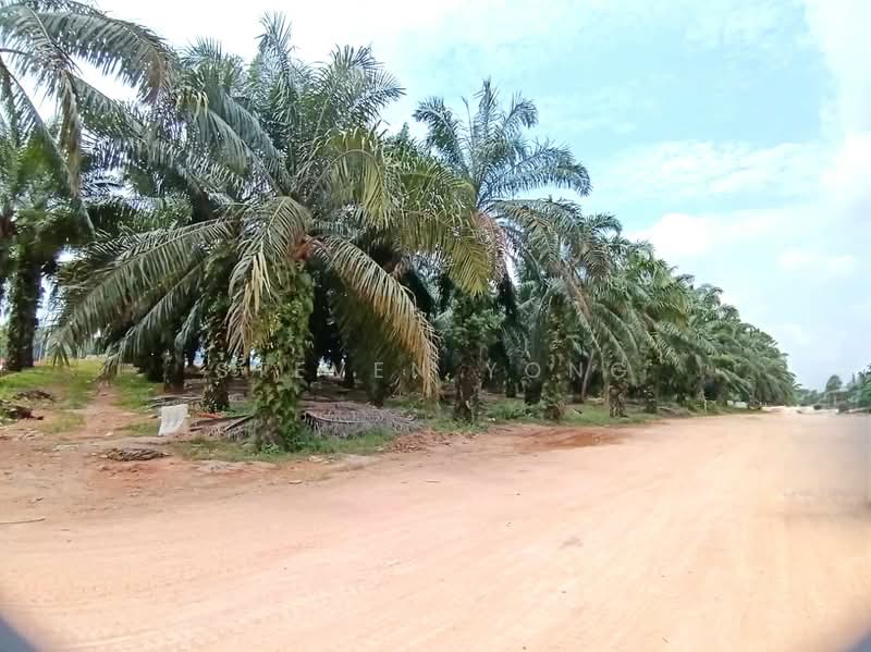 Tanah Perindustrian untuk Dijual di Kuala Selangor (Selangor) - Steven Yong - Exterior - PropertyGuru.com.my