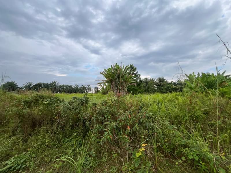 Industrial Land for Sale in Kulai (Johor) - Eve Woon - Exterior - PropertyGuru.com.my
