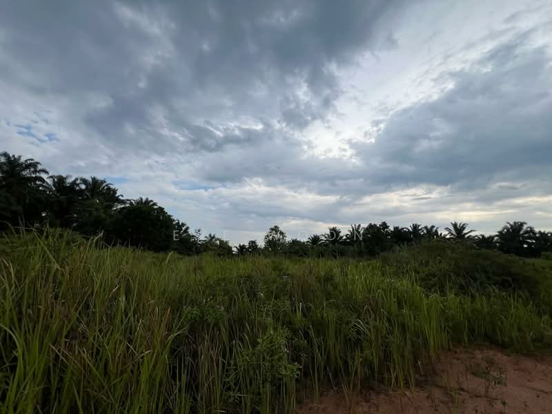 Industrial Land for Sale in Kulai (Johor) - Eve Woon - Exterior - PropertyGuru.com.my