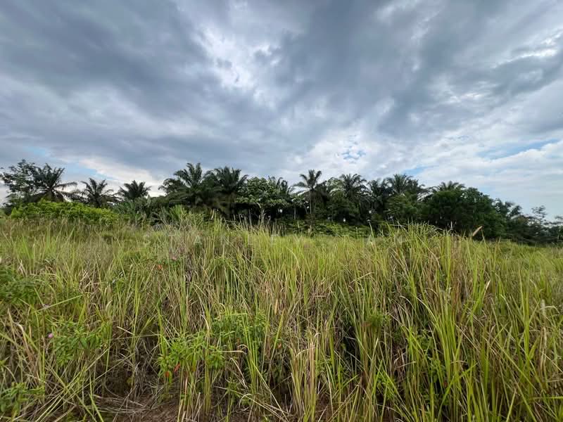 Industrial Land for Sale in Kulai (Johor) - Stanley Tan - Exterior - PropertyGuru.com.my