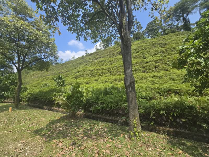 Tanah Pertanian untuk Dijual di Bukit Sentosa (Rawang) - Kent Chua - Garden - PropertyGuru.com.my