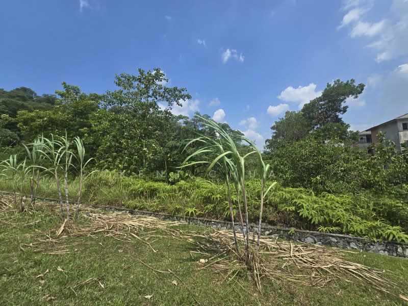 Tanah Pertanian untuk Dijual di Bukit Sentosa (Rawang) - Kent Chua - Exterior - PropertyGuru.com.my
